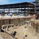 Apple-Campus-4